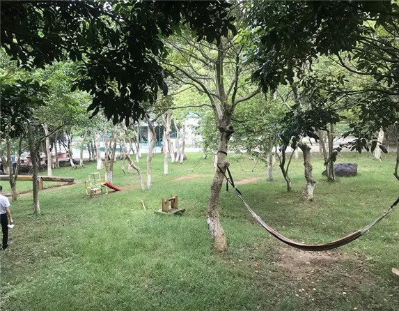 1577234940420098.jpg 9.jpg